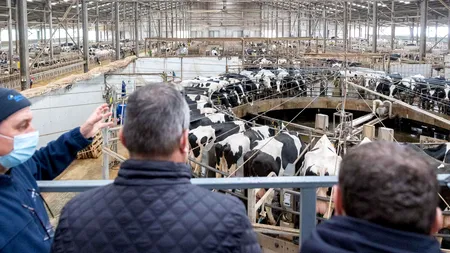 Turul fermelor din România cu premierul Ciucă și ministrul Chesnoiu