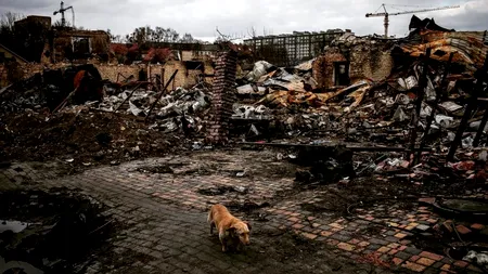Atacuri și bombardamente în multe zone din Ucraina