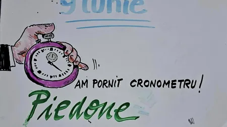 Piedone către Ciolacu: „Marcele, iar mi-ați numărat steagurile?”