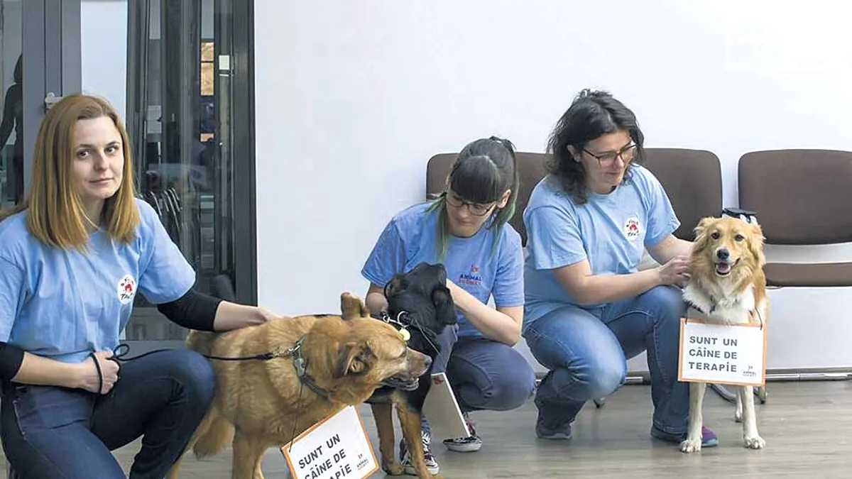 Câinii fără stăpân, „terapeuți” pentru copiii și bătrânii instituționalizați
