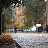 ANM a emis avertizare de vreme rea pentru 11–13 octombrie. Ce regiuni sunt afectate