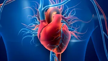 INSP: În 2023, una din două persoane a decedat din cauza bolilor aparatului circulator