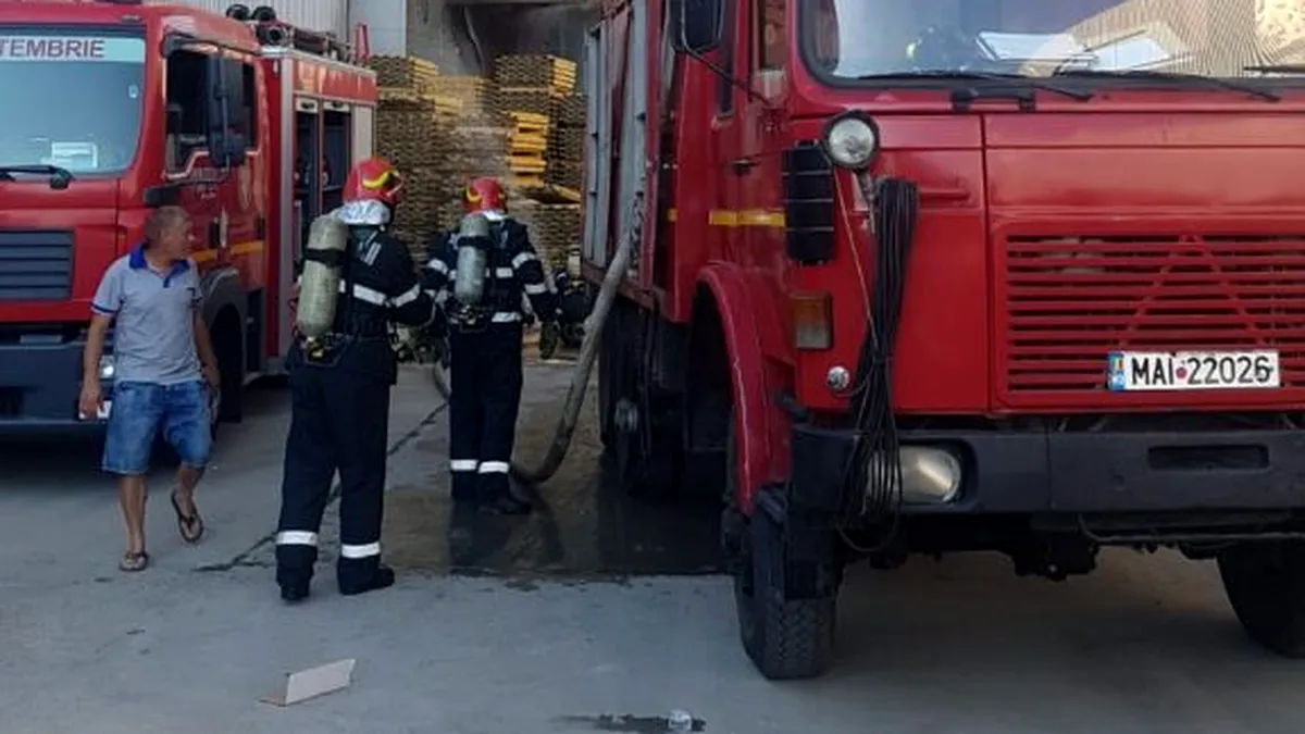 Panică lângă București! Incendiu la două hale ale unei fabrici de orez din Bragadiru