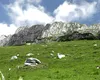Stațiunea unică în România. Singura aflată în inima unui parc natural