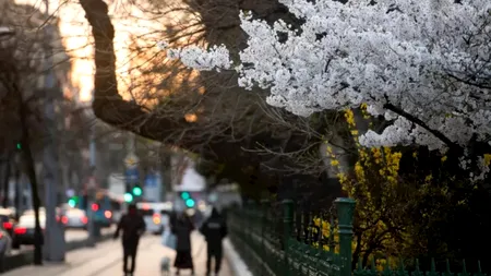 Debut de primăvară cu soare: ANM anunță temperaturi mai ridicate în weekend