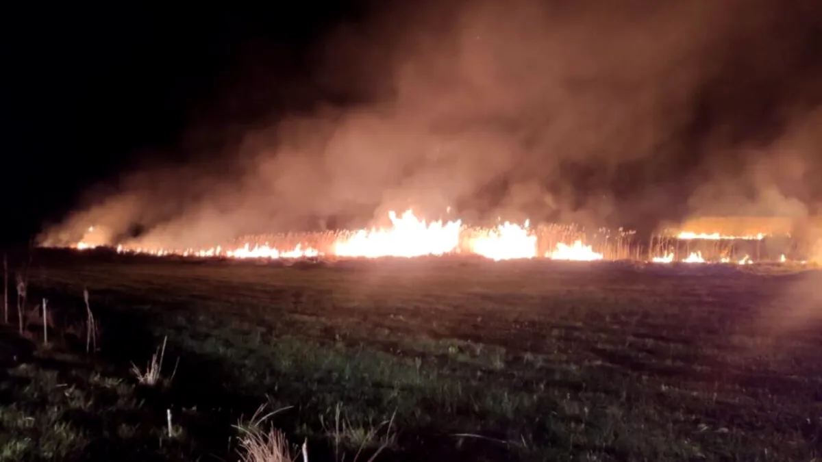 Incendiu în Delta Dunării: 45 de hectare de stuf au fost mistuite de flăcări în nici 24 de ore