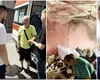 O viaţă schimbată: Apartament insalubru, transformat în locuință decentă în mai puțin de o săptămână (VIDEO)