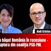 Culisele rupturii dintre PSD și PNL. Andi Cristea explică: Am cerut alt premier, nu ne-au ascultat