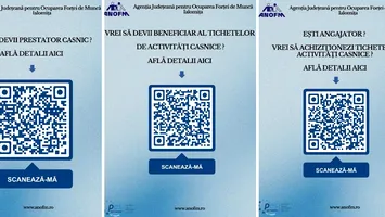 Ce sunt tichetele de prestator casnic, ce valoare au şi cum pot fi procurate