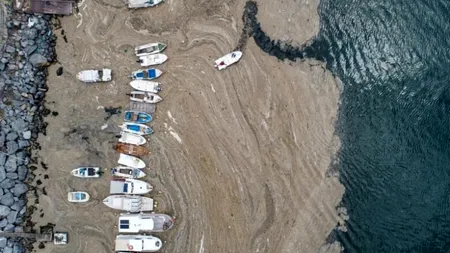 Dezastru ecologic? „Mucilagiul marin'' a invadat coastele Turciei