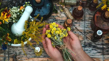 Comoara din luna iunie: 10 plante medicinale de cules și păstrat în cămară