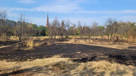 Primarul Sectorului 3 cere să fie salvat parcul IOR măcar în al doisprezecelea ceas