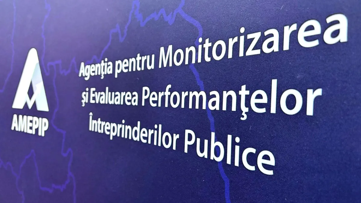 Guvernanța corporativă a întreprinderilor publice, modificată de Executiv. Ce se schimbă