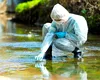 Consumul de droguri în București. Analiza apelor uzate dezvăluie o realitate îngrijorătoare