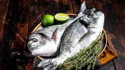 Sectorul piscicol din România, în cădere. Importurile au ajuns la aproape 500 de milioane de euro