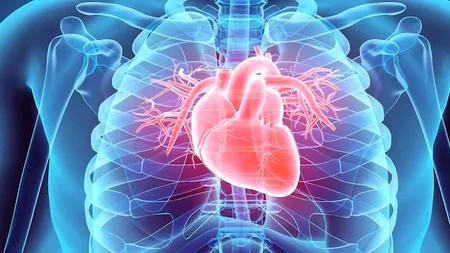 INSP: Un român din patru, în evidența medicilor de familie pentru o boală cardiovasculară