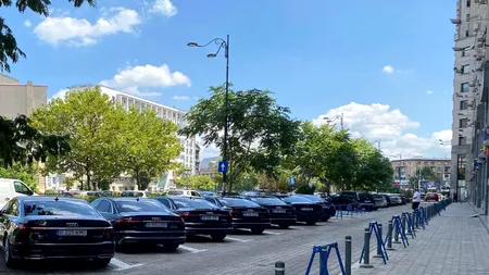 Ai auzit ASF? Doar 16% dintre români cred în basme cu asigurări