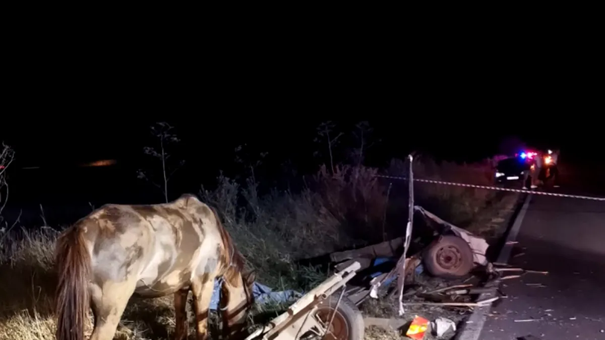 Accident mortal pe un drum național din Giurgiu. Victimă: un căruțaș