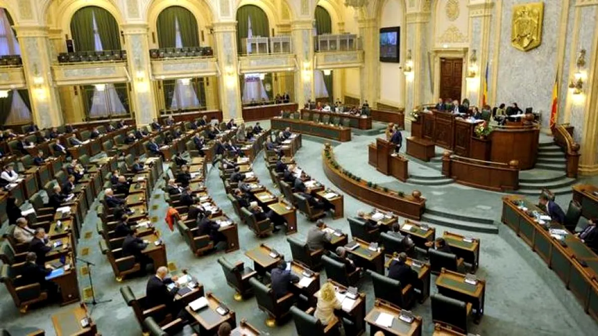 Prețurile la energie electrică și gaze naturale rămân plafonate. Replici dure în plenul Senatului