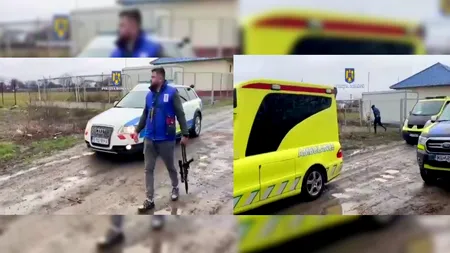 Alertă la Galați după ce două persoane au fost sfâșiate de câini pe un maidan de la marginea orașului