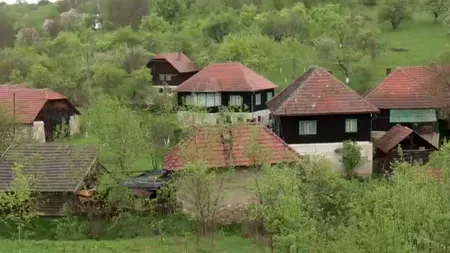 Strigă la poartă. Sau, duminica, la ţară...