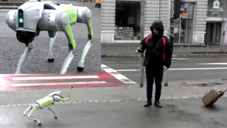 Roboți cu AI patrulează într-un oraș din România. Curățenie stradală și mesaje pentru locuitori