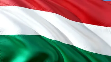 America irlandeză vrea o Irlandă unită. Și este gata să și finanțeze acțiunea
