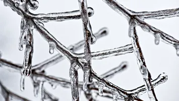 Vreme extremă. Meteorologii anunţă că după ger vine căldura