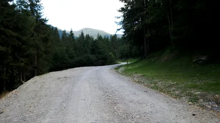 Ce Regie concurează CNIR la construcția de drumuri