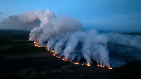 Fumul de la incendiile de vegetație ar putea crește cu 12.000 bilanțul anual al victimelor poluării aerului