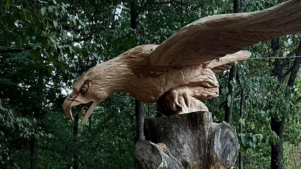 Incredibil: Tabără de sculptură pe domeniul de vânătoare al senatorului Ion Iordache de la Gorj