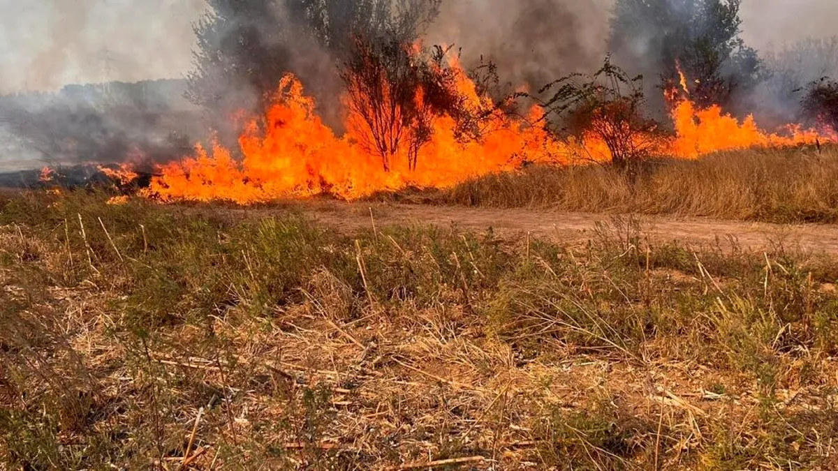 Traficul feroviar spre Constanța, oprit de un incendiu