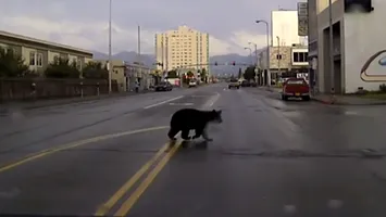 Cazare improvizată pentru jurnaliștii ruși în Alaska, după ce hotelurile s-au umplut până la refuz