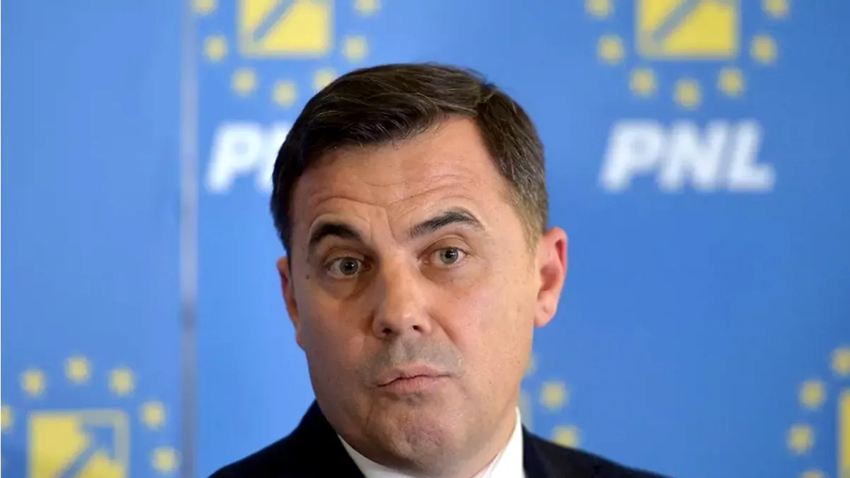 Ion Ștefan „Grindă” vrea iar în PNL