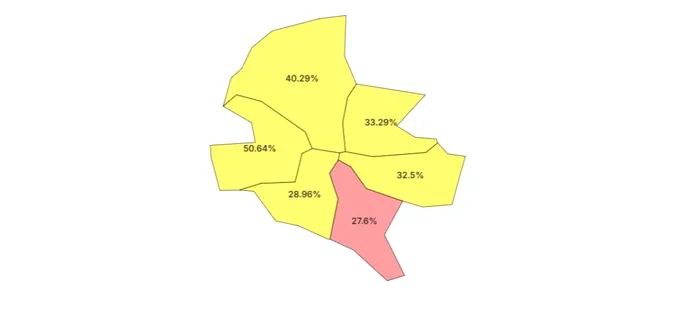 Cine a câştigat în fiecare sector din Bucureşti