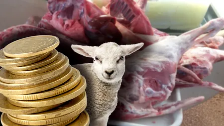 Carne de miel cu 12 lei/kg? Părerea ANSVSA despre aceste oferte