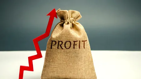 Patru firme din România, în ”Top 1.000 de companii cu cea mai rapidă creştere din Europa”