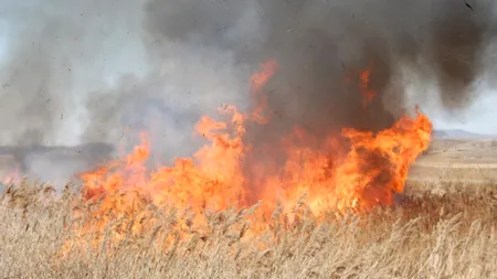 Grecia: Incendiu de vegetație pe insula Evia; un sat a fost evacuat