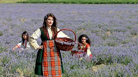 Pregătiri pentru tradiționalul Festival Naţional al Lavandei din Bulgaria