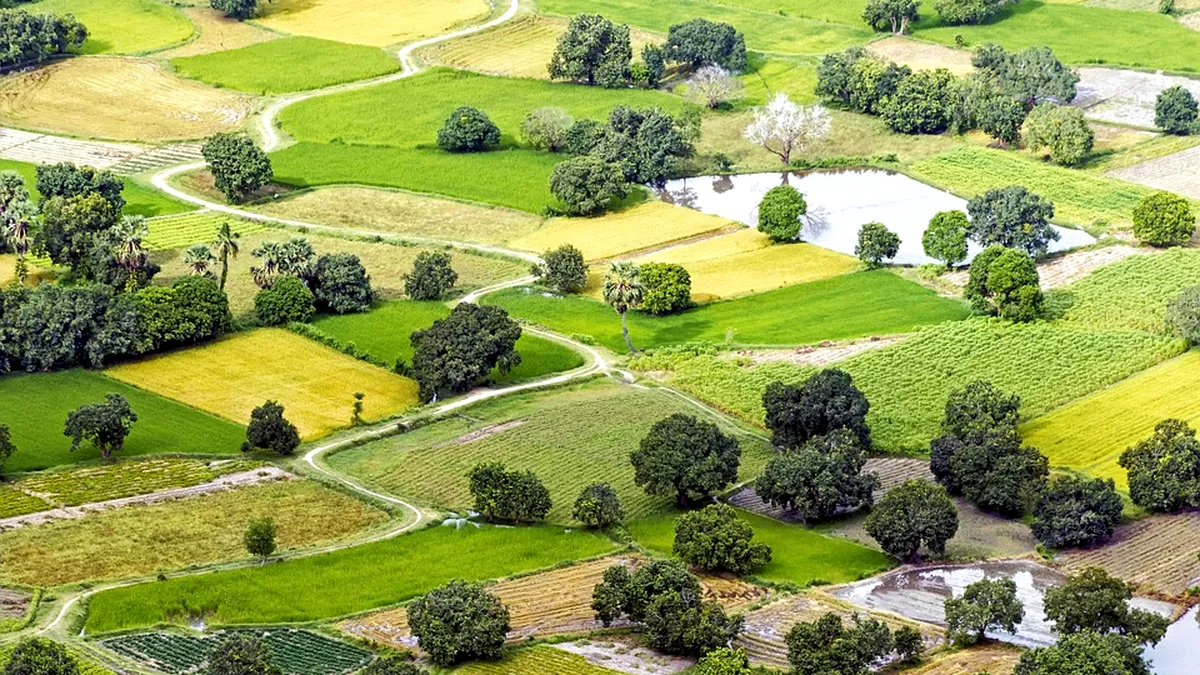 Fermierii din România dețin în proprietate circa 40% din terenul agricol