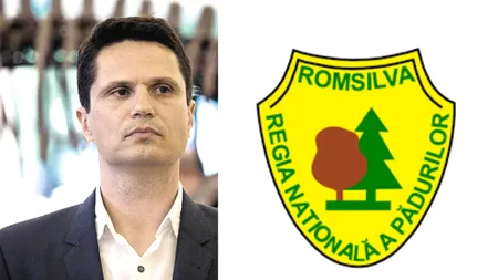 Cine este nababul „dinozaur” care administrează provizoriu Romsilva de peste trei ani