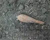 Bombă cu focos activ, din Al Doilea Război Mondial, găsită în timpul unor lucrări agricole