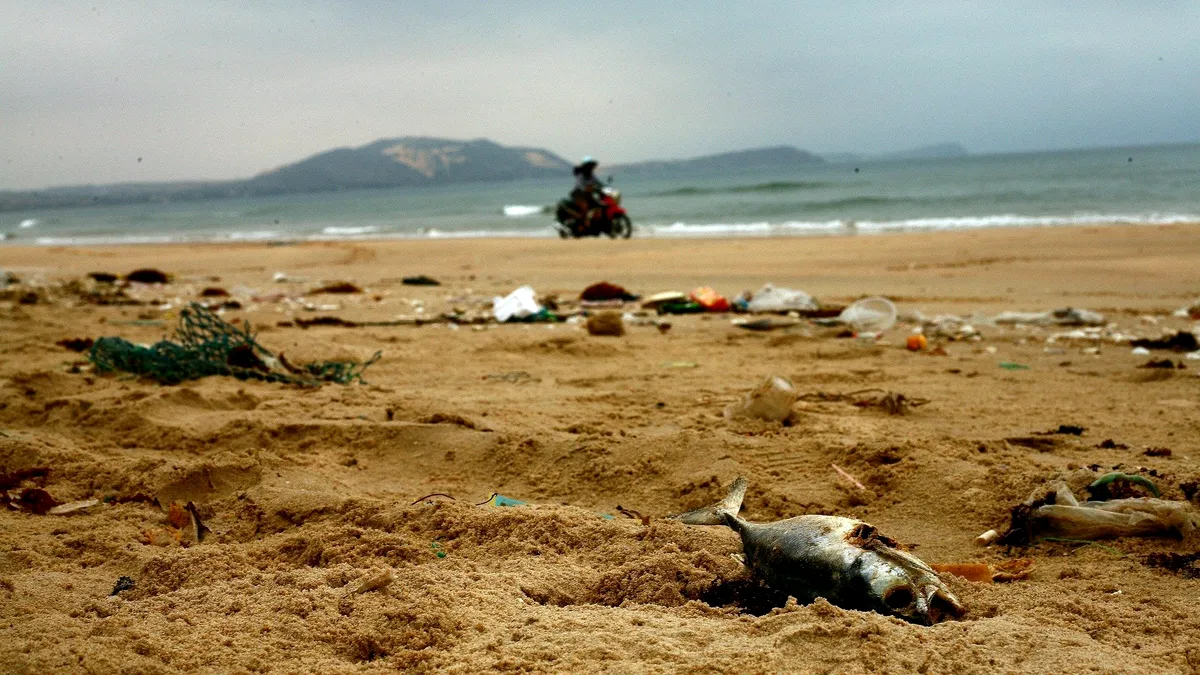 Efectul deșeurilor aruncate în ape: Cercetătorii au descoperit microplastic în țesutul muscular al peștilor