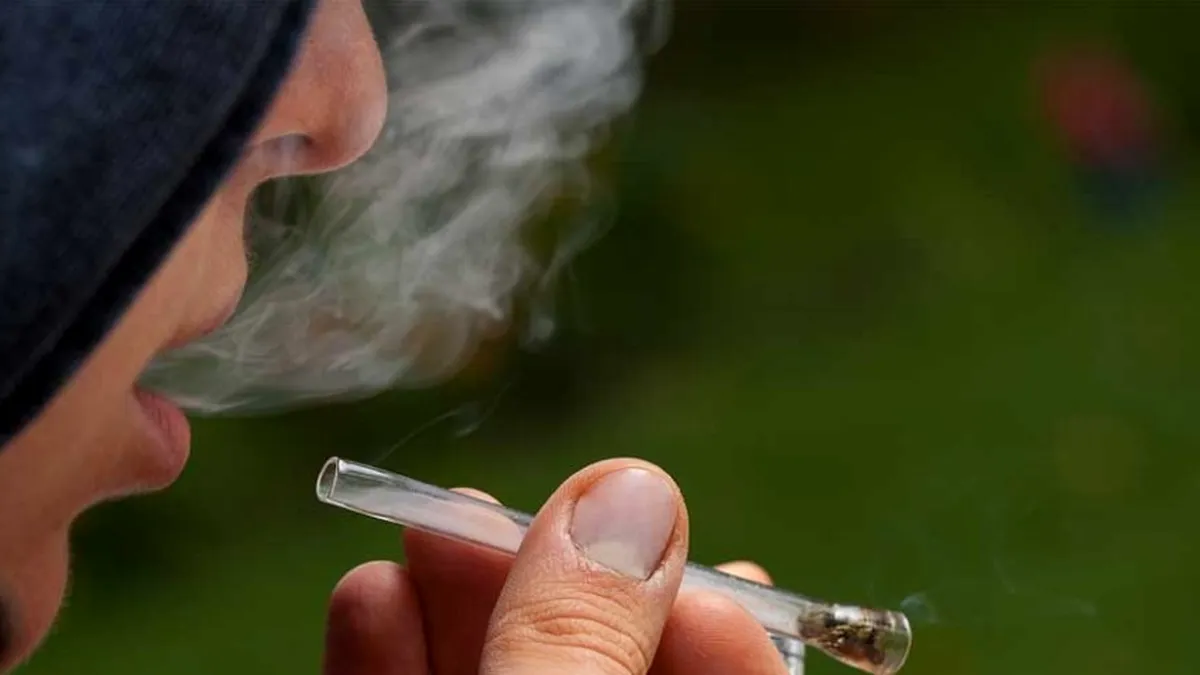Universitatea Columbia (SUA): Creşte numărul tinerilor americani cu probleme mintale din cauza legalizării consumului de canabis