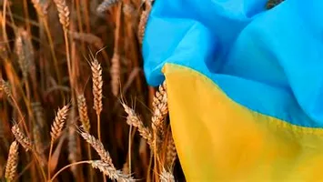FT: UE intenționează să impună taxe mai mari importurilor din Ucraina. Cât va pierde Ucraina?