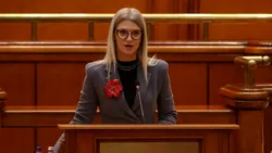 Parlamentul a adoptat legea care recunoaște pentru prima dată femicidul în România