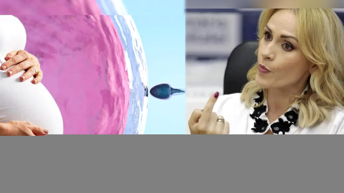 Firea a tocat 9.000.000 de euro de la Primărie pentru fertilizări in vitro