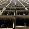 Germania investește 90 de milioane de euro în 50.000 de drone pentru Ucraina. Una dintre cele mai mari comenzi occidentale de armament