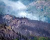 Din SUA, incendiile devastatoare s-au mutat în Argentina