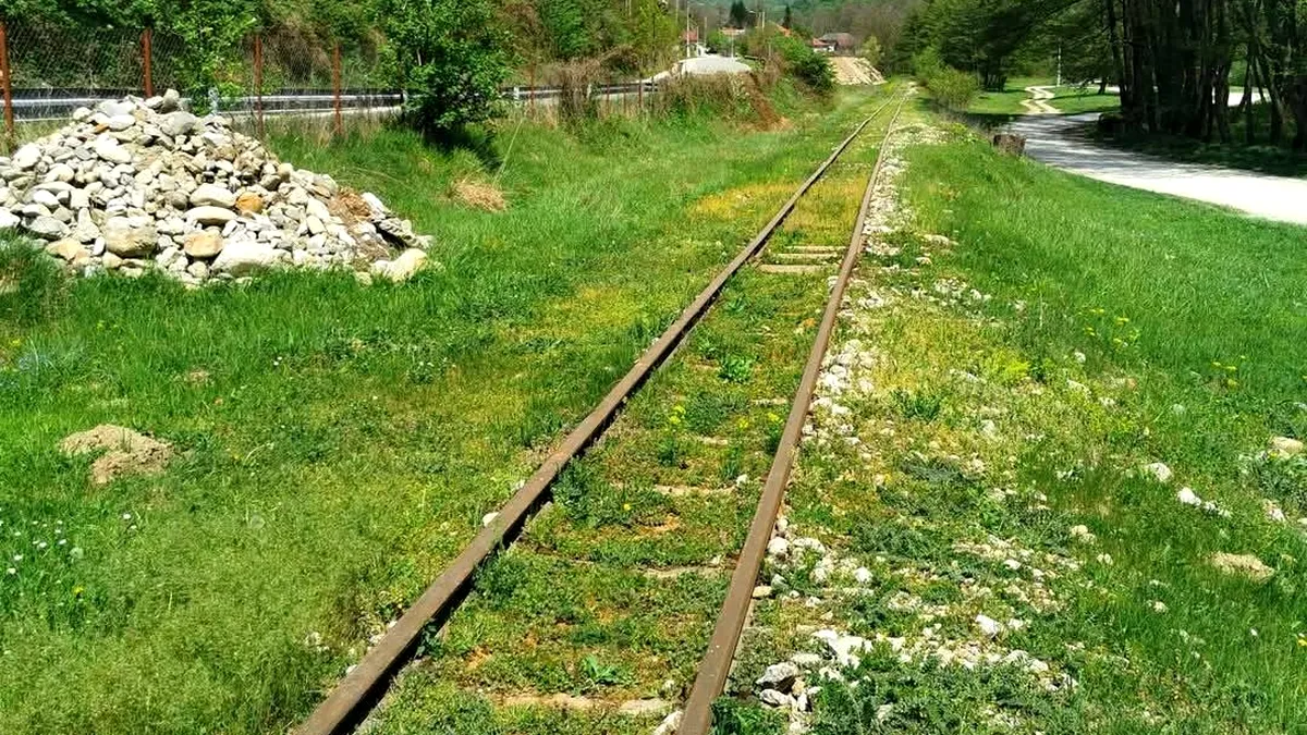 Mocănița oltenească, o comoară uitată care ar putea renaște turismul din Oltenia de sub Munte